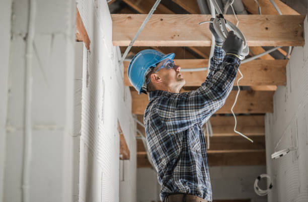 Best Electric Panel Repair  in Abbotsford, WI
